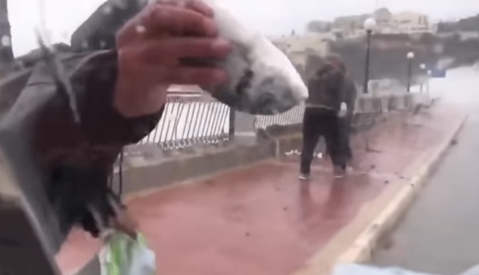 Дъжд от риби в Малта (ВИДЕО)