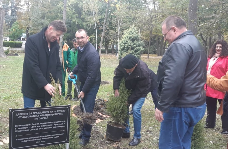 Областният и омбудсманът на Бургас садиха адвокатски фиданки