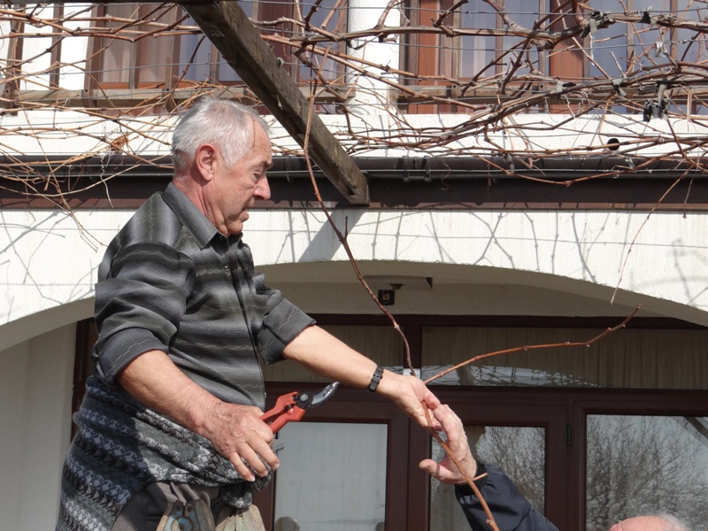 В Свети Влас ще празнуват с 300 л червено вино